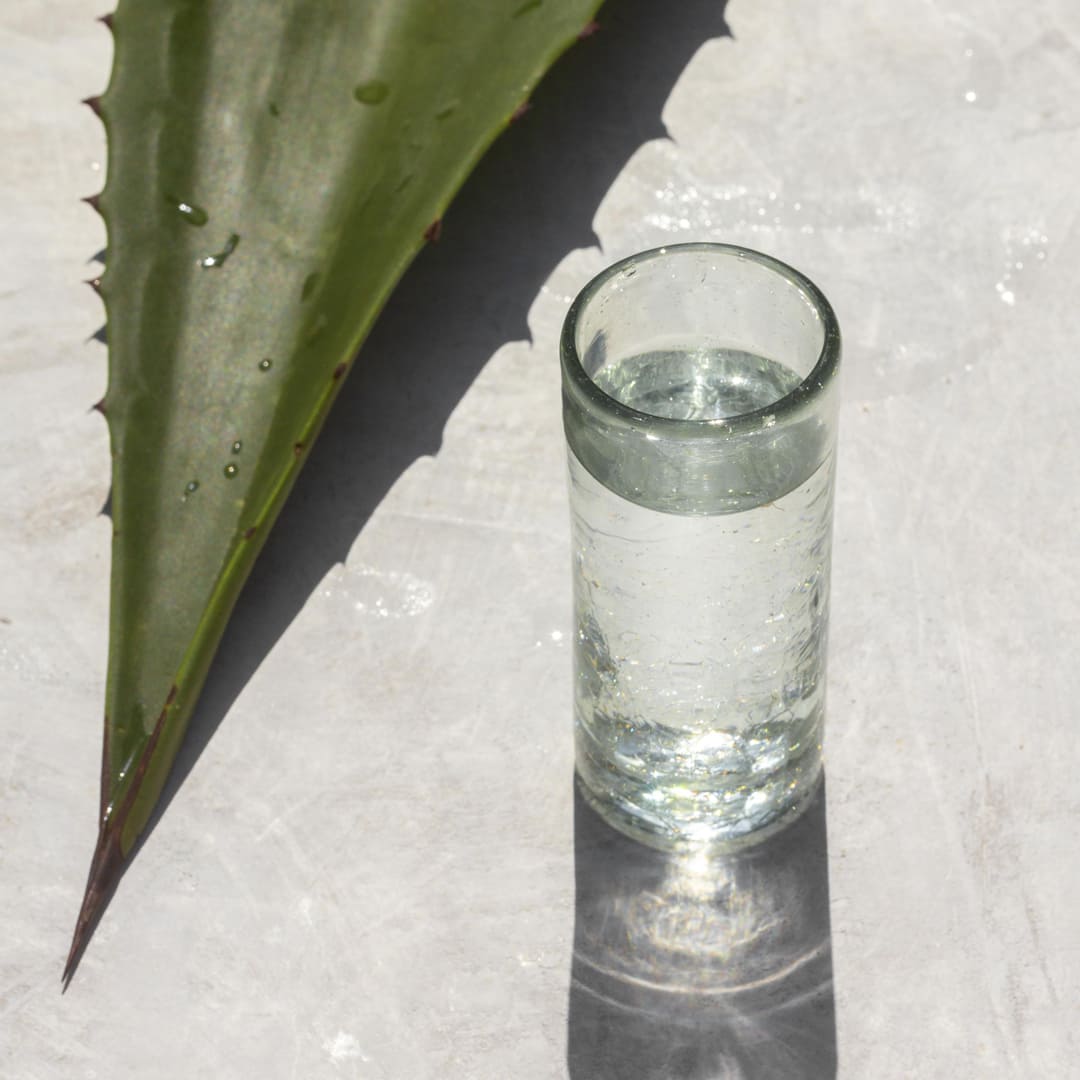 Koyopa Nuestra Historia